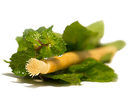 Siwak Miswak with mint flavor